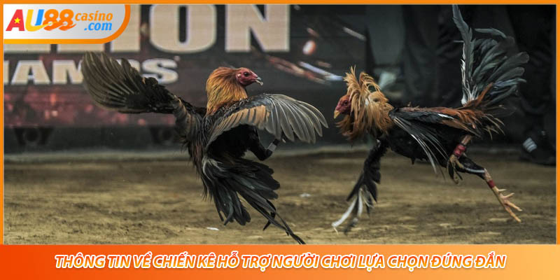 Thông tin về chiến kê hỗ trợ người chơi lựa chọn đúng đắn